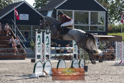 Dansk Rideforbunds Championats kvalifikation 5 års på vilhelmsborg
Nøgleord: lone marie oeglen;jadeblue citty c