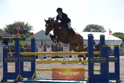 Dansk Rideforbunds Championats kvalifikation 5 års på vilhelmsborg
Nøgleord: kathrine nielsen;carmandia