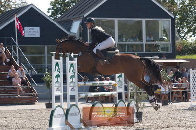 Dansk Rideforbunds Championats kvalifikation 5 års på vilhelmsborg
Nøgleord: kathrine nielsen;carmandia