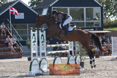 Dansk Rideforbunds Championats kvalifikation 5 års på vilhelmsborg
Nøgleord: helena elmo kristensen;baleice