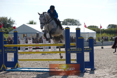 Dansk Rideforbunds Championats kvalifikation 5 års på vilhelmsborg
Nøgleord: lise grønbjerg uhre larsen;comme za