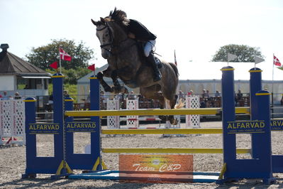 Dansk Rideforbunds Championats kvalifikation 5 års på vilhelmsborg
Nøgleord: elips;victor lica  larsen