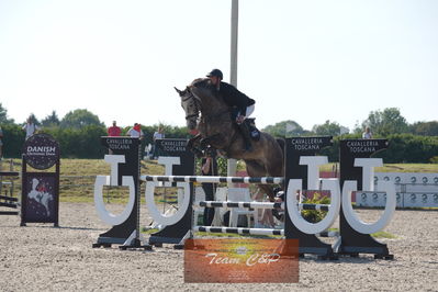 Dansk Rideforbunds Championats kvalifikation 5 års på vilhelmsborg
Nøgleord: elips;victor lica  larsen