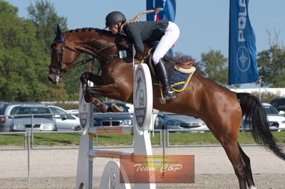 Dansk Rideforbunds Championats kvalifikation 5 års på vilhelmsborg
Nøgleord: colin alfarvad z;emilie katrine høll pedersen