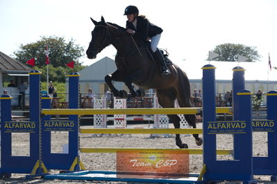 Dansk Rideforbunds Championats kvalifikation 5 års på vilhelmsborg
Nøgleord: julie hedegaard klausen;syvhøjegårds elinor