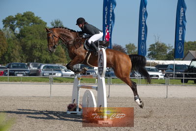 Dansk Rideforbunds Championats kvalifikation 5 års på vilhelmsborg
Nøgleord: maria b  jørgensen;freund's cocio