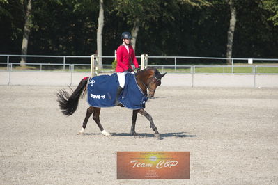 Dansk Rideforbunds Championats kvalifikation 5 års på vilhelmsborg
Nøgleord: kasper h  hansen;katrinelunds satisfaction