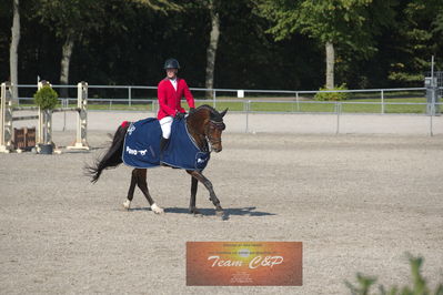 Dansk Rideforbunds Championats kvalifikation 5 års på vilhelmsborg
Nøgleord: kasper h  hansen;katrinelunds satisfaction