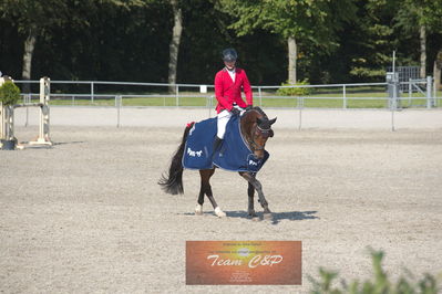 Dansk Rideforbunds Championats kvalifikation 5 års på vilhelmsborg
Nøgleord: kasper h  hansen;katrinelunds satisfaction