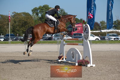 Dansk Rideforbunds Championats kvalifikation vilhelmsborg 2019 6 års
Nøgleord: emilie mosegaard christiansen;syvhøjegårds fernando