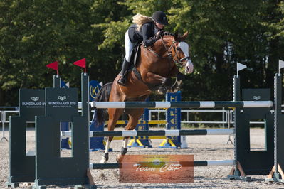 Dansk Rideforbunds Championats kvalifikation vilhelmsborg 2019 6 års
Nøgleord: emilie mosegaard christiansen;syvhøjegårds fernando