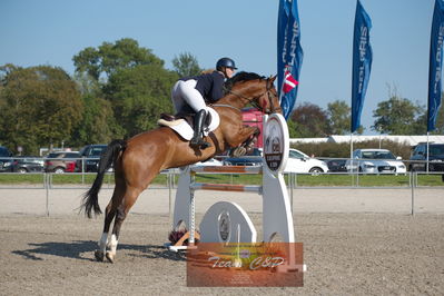 Dansk Rideforbunds Championats kvalifikation vilhelmsborg 2019 6 års
Nøgleord: josefine quiisgaard petersen;zenith pp z