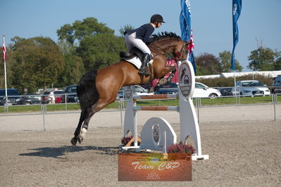 Dansk Rideforbunds Championats kvalifikation vilhelmsborg 2019 6 års
Nøgleord: louise dahl christensen;casey