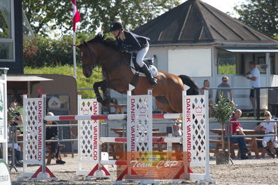 Dansk Rideforbunds Championats kvalifikation vilhelmsborg 2019 6 års
Nøgleord: louise dahl christensen;casey