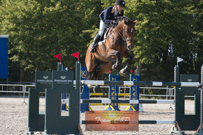 Dansk Rideforbunds Championats kvalifikation vilhelmsborg 2019 6 års
Nøgleord: louise dahl christensen;casey