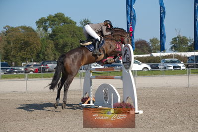 Dansk Rideforbunds Championats kvalifikation vilhelmsborg 2019 6 års
Nøgleord: gitte dahl;søndervangs nexton