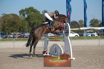 Dansk Rideforbunds Championats kvalifikation vilhelmsborg 2019 6 års
Nøgleord: gitte dahl;søndervangs nexton