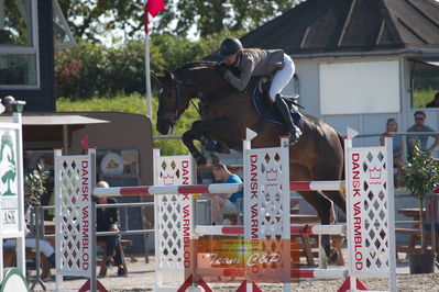Dansk Rideforbunds Championats kvalifikation vilhelmsborg 2019 6 års
Nøgleord: gitte dahl;søndervangs nexton