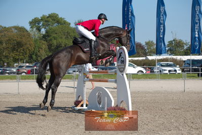 Dansk Rideforbunds Championats kvalifikation vilhelmsborg 2019 6 års
Nøgleord: kasper h  hansen;comme il faut plus