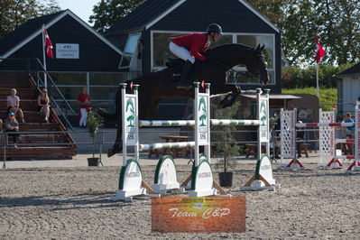 Dansk Rideforbunds Championats kvalifikation vilhelmsborg 2019 6 års
Nøgleord: kasper h  hansen;comme il faut plus