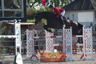 Dansk Rideforbunds Championats kvalifikation vilhelmsborg 2019 6 års
Nøgleord: kasper h  hansen;comme il faut plus