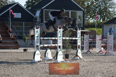 Dansk Rideforbunds Championats kvalifikation vilhelmsborg 2019 6 års
Nøgleord: thomas phil jensen;capa brons