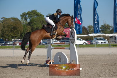 Dansk Rideforbunds Championats kvalifikation vilhelmsborg 2019 6 års
Nøgleord: tina lund;caracho