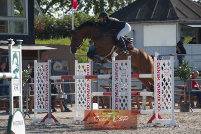 Dansk Rideforbunds Championats kvalifikation vilhelmsborg 2019 6 års
Nøgleord: tina lund;caracho