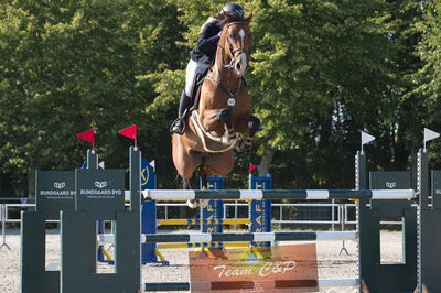 Dansk Rideforbunds Championats kvalifikation vilhelmsborg 2019 6 års
Nøgleord: tina lund;caracho