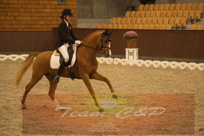 Ecco Cup finaler 2019
Kat 1 ponyer
Nøgleord: nathalie thomassen;lykkehøjs dream of dornik