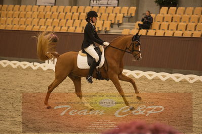 Ecco Cup finaler 2019
Kat 1 ponyer
Nøgleord: nathalie thomassen;lykkehøjs dream of dornik