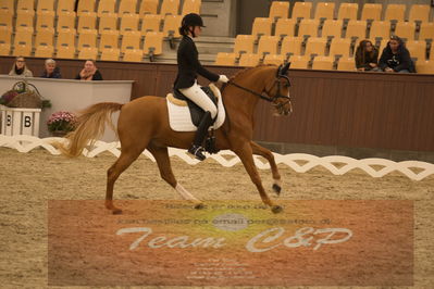 Ecco Cup finaler 2019
Kat 1 ponyer
Nøgleord: nathalie thomassen;lykkehøjs dream of dornik