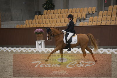 Ecco Cup finaler 2019
Kat 1 ponyer
Nøgleord: nathalie thomassen;lykkehøjs dream of dornik