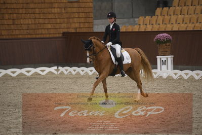 Ecco Cup finaler 2019
Kat 1 ponyer
Nøgleord: nathalie thomassen;lykkehøjs dream of dornik