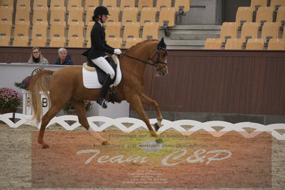 Ecco Cup finaler 2019
Kat 1 ponyer
Nøgleord: nathalie thomassen;lykkehøjs dream of dornik