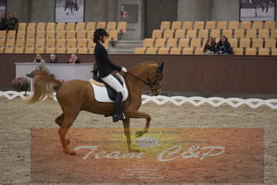 Ecco Cup finaler 2019
Kat 1 ponyer
Nøgleord: nathalie thomassen;lykkehøjs dream of dornik