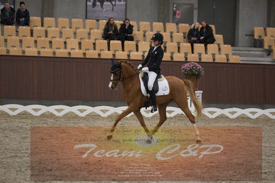 Ecco Cup finaler 2019
Kat 1 ponyer
Nøgleord: nathalie thomassen;lykkehøjs dream of dornik