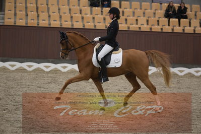 Ecco Cup finaler 2019
Kat 1 ponyer
Nøgleord: nathalie thomassen;lykkehøjs dream of dornik