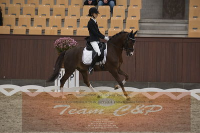 Ecco Cup finaler 2019
Kat 1 ponyer
Nøgleord: liva addy guldager nielsen;d'artagnan 187