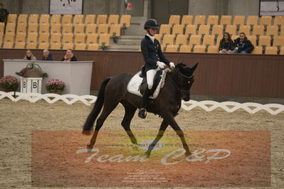 Ecco Cup finaler 2019
Kat 1 ponyer
Nøgleord: ida guldbransen;chilli