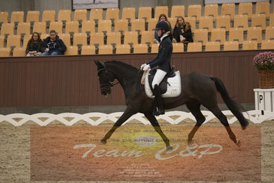 Ecco Cup finaler 2019
Kat 1 ponyer
Nøgleord: ida guldbransen;chilli