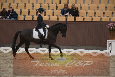 Ecco Cup finaler 2019
Kat 1 ponyer
Nøgleord: ida guldbransen;chilli