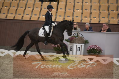 Ecco Cup finaler 2019
Kat 1 ponyer
Nøgleord: ida guldbransen;chilli