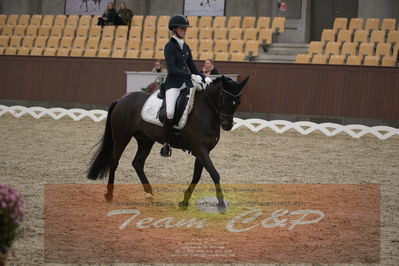 Ecco Cup finaler 2019
Kat 1 ponyer
Nøgleord: ida guldbransen;chilli