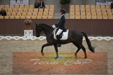 Ecco Cup finaler 2019
Kat 1 ponyer
Nøgleord: ida guldbransen;chilli