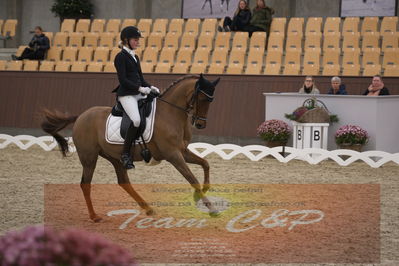 Ecco Cup finaler 2019
Kat 1 ponyer
Nøgleord: victoria toft waksvik;sl cuba