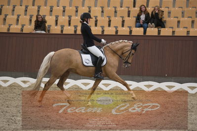 Ecco Cup finaler 2019
Kat 1 ponyer
Nøgleord: nadja junker larsen;bossa nova bitsch