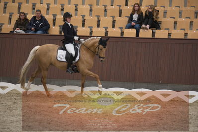 Ecco Cup finaler 2019
Kat 1 ponyer
Nøgleord: nadja junker larsen;bossa nova bitsch