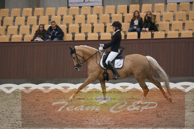 Ecco Cup finaler 2019
Kat 1 ponyer
Nøgleord: nadja junker larsen;bossa nova bitsch