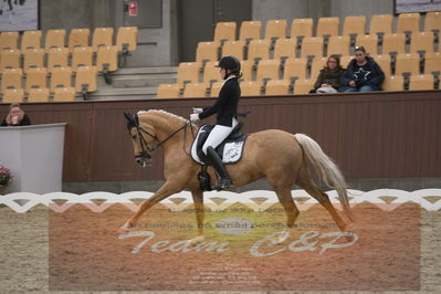 Ecco Cup finaler 2019
Kat 1 ponyer
Nøgleord: nadja junker larsen;bossa nova bitsch